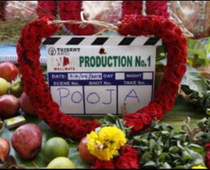 Wall Mate Entertainment Production No 1 Pooja