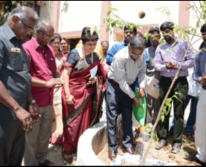 YMCA Madras & Soroptimist Chennai organises Tree Sapling Planting