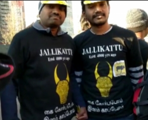 London tamil peoples voice for jallikattu