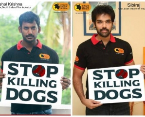 Vishal decision to continue mass killing of stray dogs